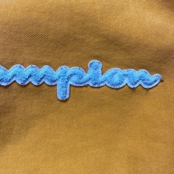 Champion Reverse Weave Orange Cropped Hooded Sweatshirt Size Large - Picture 9 of 9